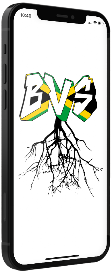 Black Vynez Services (BVS) screen