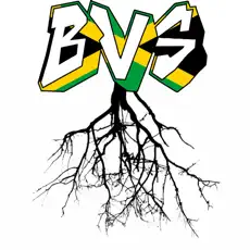 Black Vynez Services (BVS) icon